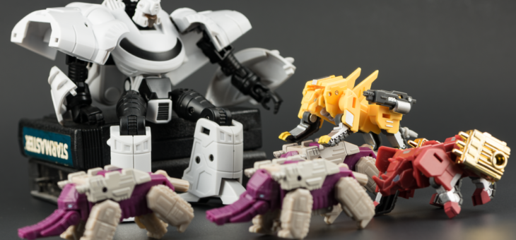 The Volk Story